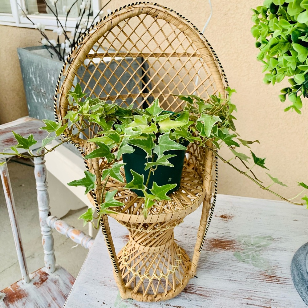 Mini Peacock Chair